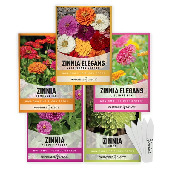 Zinnia Seeds for Outdoor Planting | 5 Variety Pack