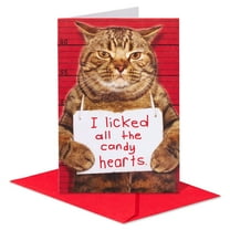 American Greetings Funny Valentine's Day Card for Anyone (Guilty Cat)