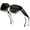 C02 Blue - Brown, variant on Polarized Fit Over Sunglasses with Rhinestone for Women UV400 Protection Sun Glasses TS7511