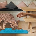 thumbnail image 4 of Plato para Mascotas Bluelander 2 Tazones Verde Bluelander, 4 of 4