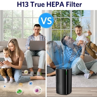 Ecotronic AP-250A Air Purifier, 258 sq ft Coverage, HEPA Filter, Black