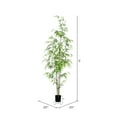 thumbnail image 2 of Vickerman 5' Contemporary Fabric Artificial Potted Mini Bamboo Tree in Green, 2 of 3