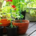 thumbnail image 3 of Advancent ABS práctico y confiable para estacas de orquídeas para soporte seguro de plantas, protector de tronco de árbol de plástico Jardín y Patio, 3 of 6