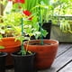 thumbnail image 3 of Advancent Clip de bambú para el cuidado de las plantas naturales, soporte esencial para orquídeas, palo de soporte para plantas de amplia Jardín y Patio, 3 of 6