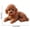 Brown, variant on Simulated Poodle Squishy Stress Toy with Slow Rising Texture and Red Collar, Brown, for Relaxation, Squeeze Toy