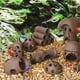 thumbnail image 2 of Aquarium Decor Fish Shelter House Pottery House Canister Simulation Stone Fish Tank Decoration Style 6, 2 of 5