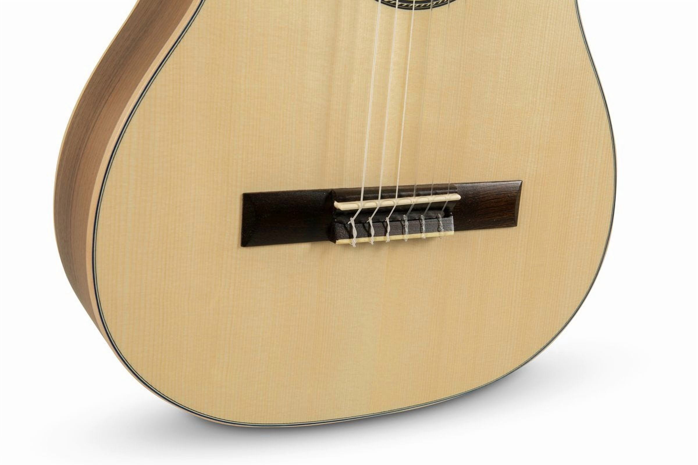 Manuel Rodriguez Ecologia E-62 Senorita 7/8 Classical Guitar - Spruce/Walnut