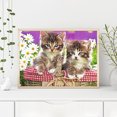 thumbnail image 3 of Cuadros Decorativos Kits de pintura de diamante cuadrado completo de gato 5D DIY arte hecho a mano en casa (ZQF359) Tmvgtek embutido en tela, 3 of 9