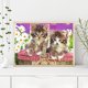 thumbnail image 3 of Cuadros Decorativos Kits de pintura de diamante cuadrado completo de gato 5D DIY arte hecho a mano en casa (ZQF359) Likrtyny embutido en tela, 3 of 9