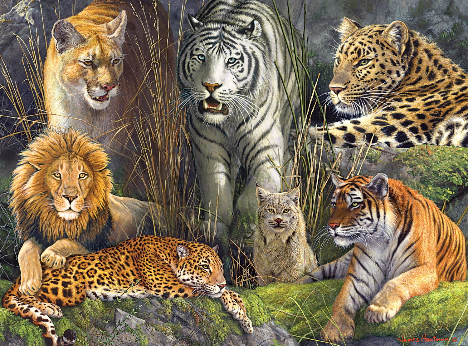 Buffalo Games 1000-Piece Big Cat Collage Interlocking Jigsaw Puzzle for Adults Ages 14+