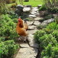 thumbnail image 4 of Adorno Decorativo de Estaca de Jardín Perfecl Pollo Acrílico 33cm x 152cm, 4 of 8