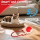 thumbnail image 4 of Juguetes Interactivos para Gatos FurryJoy Pelota Inteligente Giratoria 360° 2PCS, 4 of 7