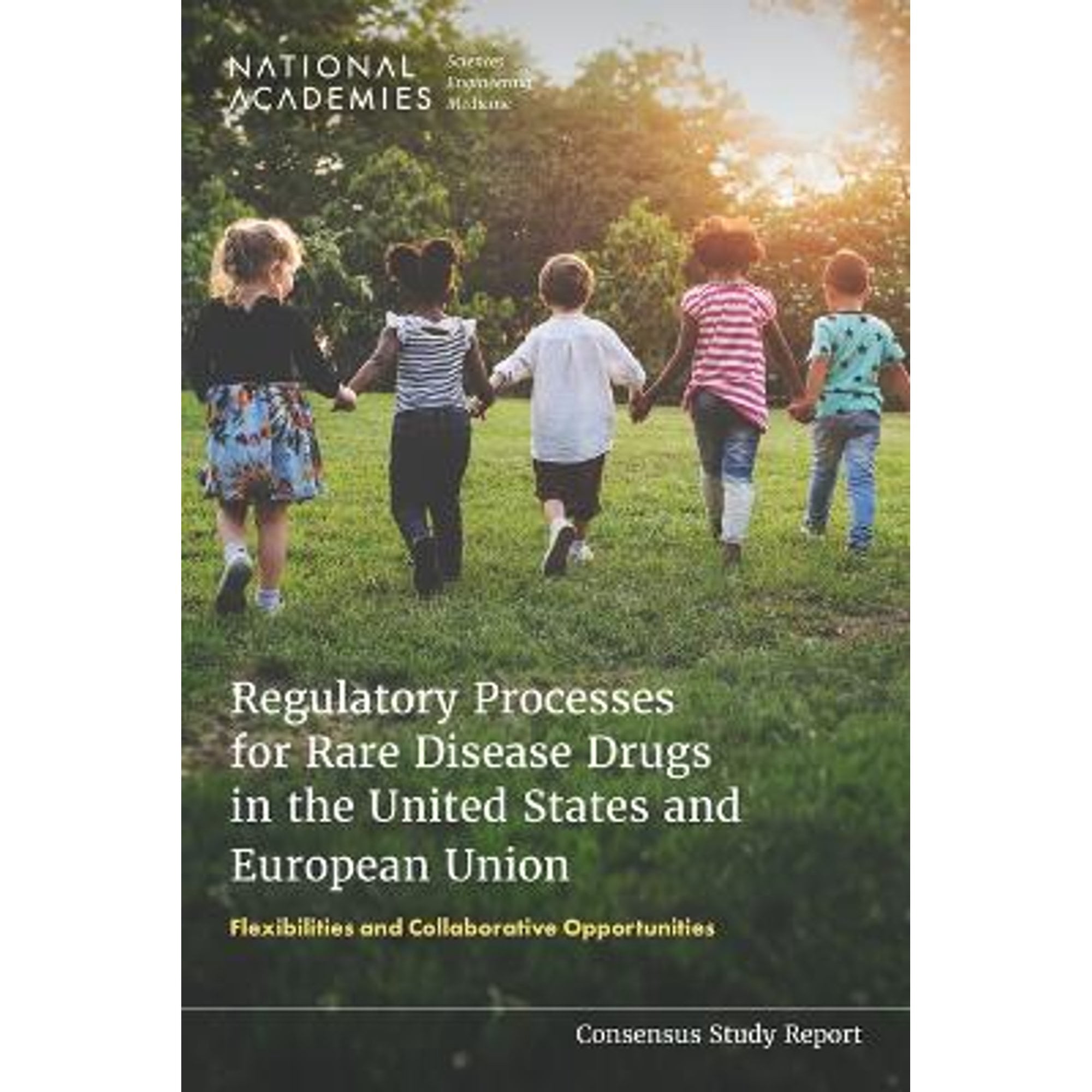 Regulatory Processes for Rare Disease Drugs in the United States and European Union: Flexibilities (Paperback) by Engineering National Academies of Sciences, Medicine, Health and Medicine Division, Bo