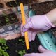 thumbnail image 3 of Sembradora de macetas para exterior - Herramienta de jardinería de plástico multicolor, ergonómica para el jardín doméstico, 3 of 8