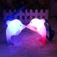 thumbnail image 5 of CNKOO 6Pcs LED Night Creative Color Changing Frog Lamp Glowing Colorful LED Night Light for Colorful LED Night Lamp for Children Room, 5 of 5