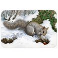 thumbnail image 1 of Carolines Treasures ASA2180CMT Grey Squirrel Kitchen or Bath Mat, 20 x 30, 1 of 1