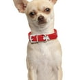 thumbnail image 3 of Pet Collar Puppy Cat Choker PU Leather Collars For Small Pet Cat Dogs Adjustable XS, 3 of 7