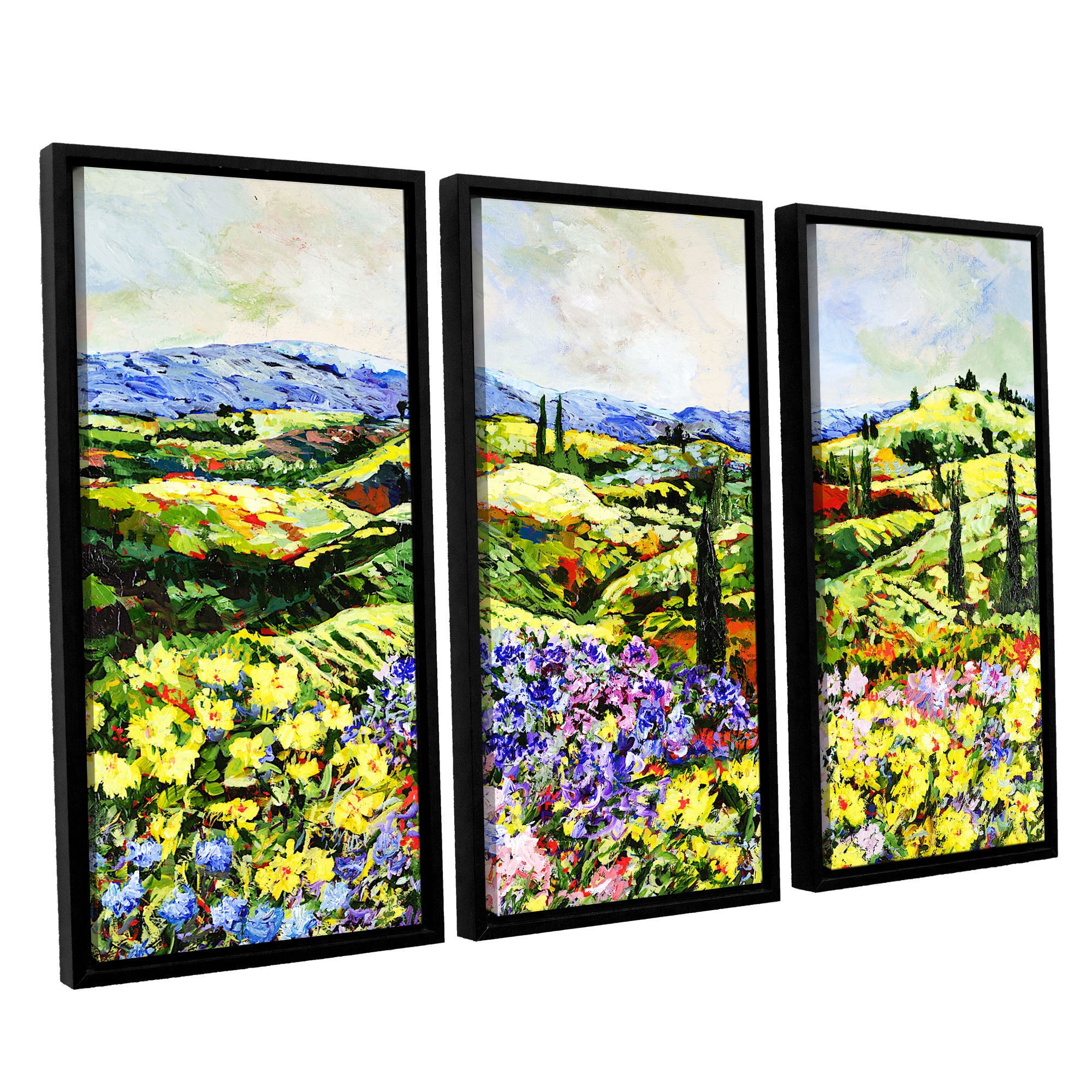 ArtWall Allan Friedlander "Dream Valley" 3-Piece Floater Framed Canvas Set