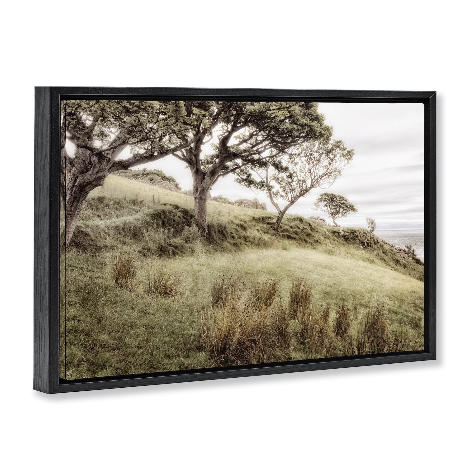 Stupell Industries Irish Hillside Landscape Black Framed Floater Canvas Wall Art, design by Andy Amos