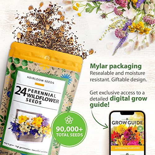  85,000 Wildflower Seeds, 35 Varietiey Wild Flowers