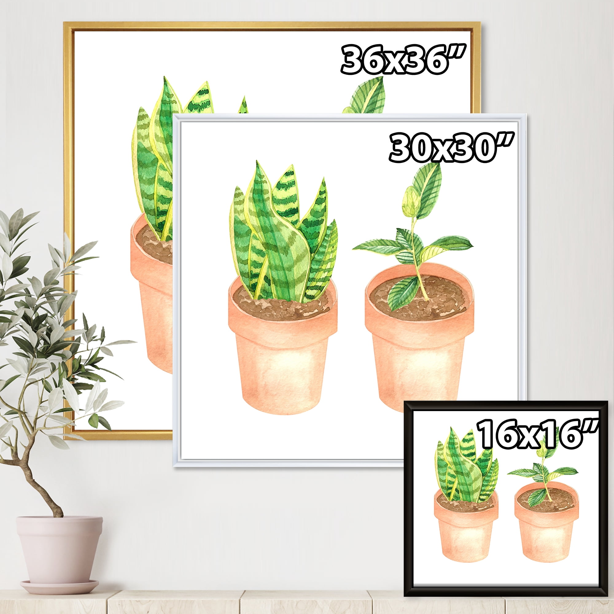 Designart 'Ficus and Sansevieria Indoor Green Home House Plants' Traditional Framed Canvas Wall Art Print