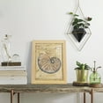 thumbnail image 5 of Seashell Ephemera II - Framed Print w/glass - Natural Wood, 5 of 7