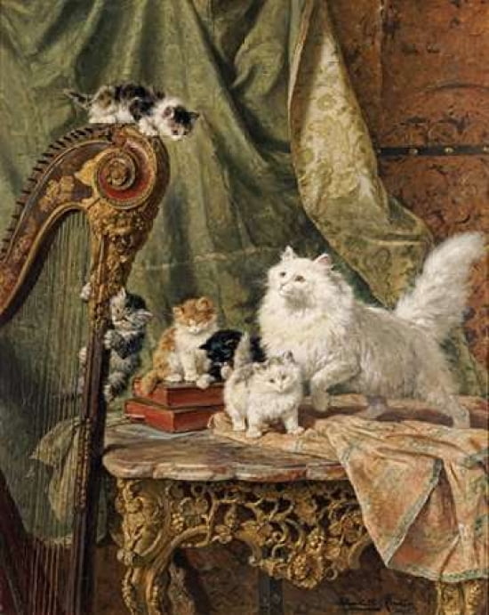 A Musical Interlude