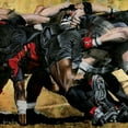 thumbnail image 2 of Ruse, Nadine 20x20 Gold Ornate Wood Framed with Double Matting Museum Art Print Titled - Melee rouge noire (detail), 2 of 4