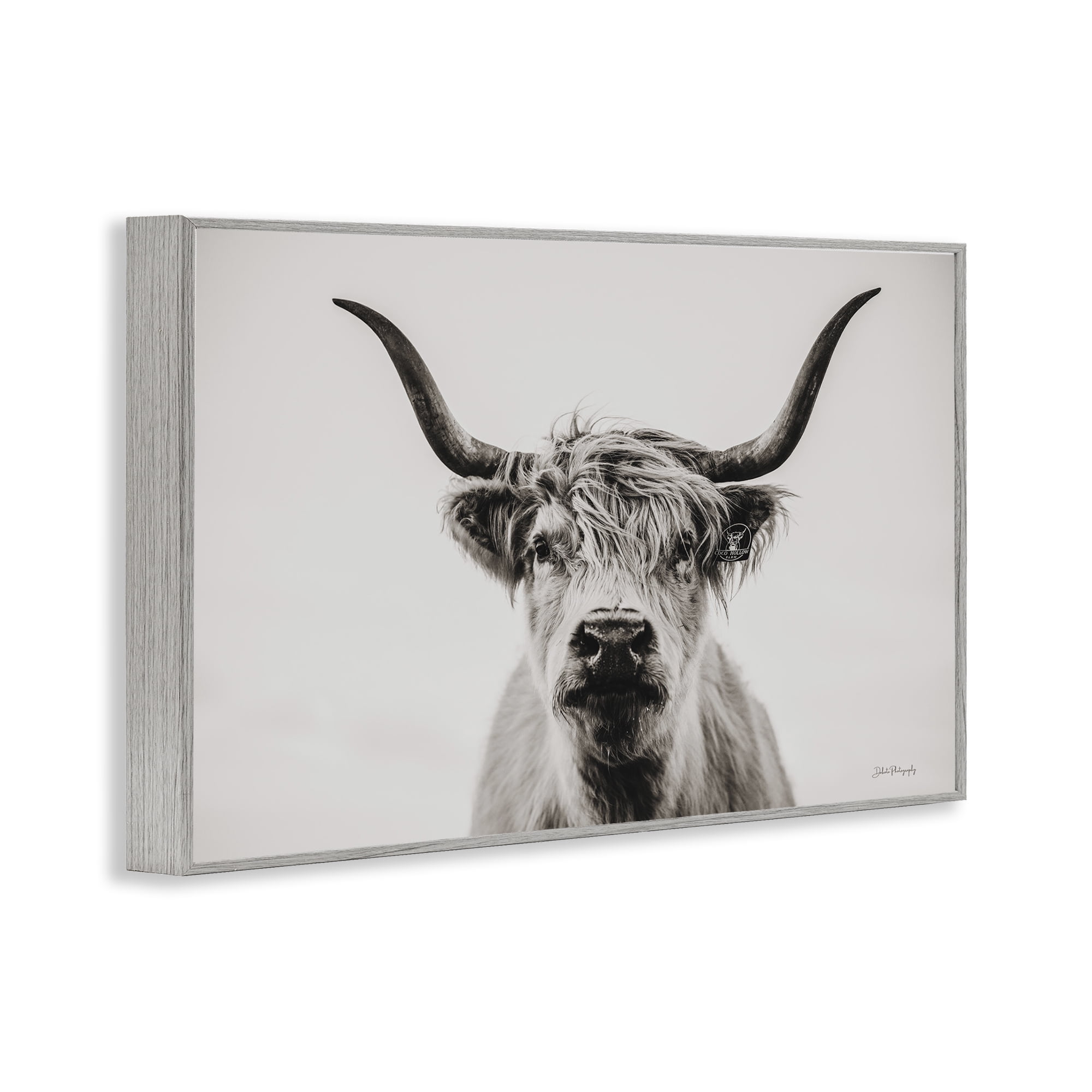 Stupell Industries Calm Cattle Portrait Animals & Insects Photography Gray Framed Art Print Wall Art, 18 x 12