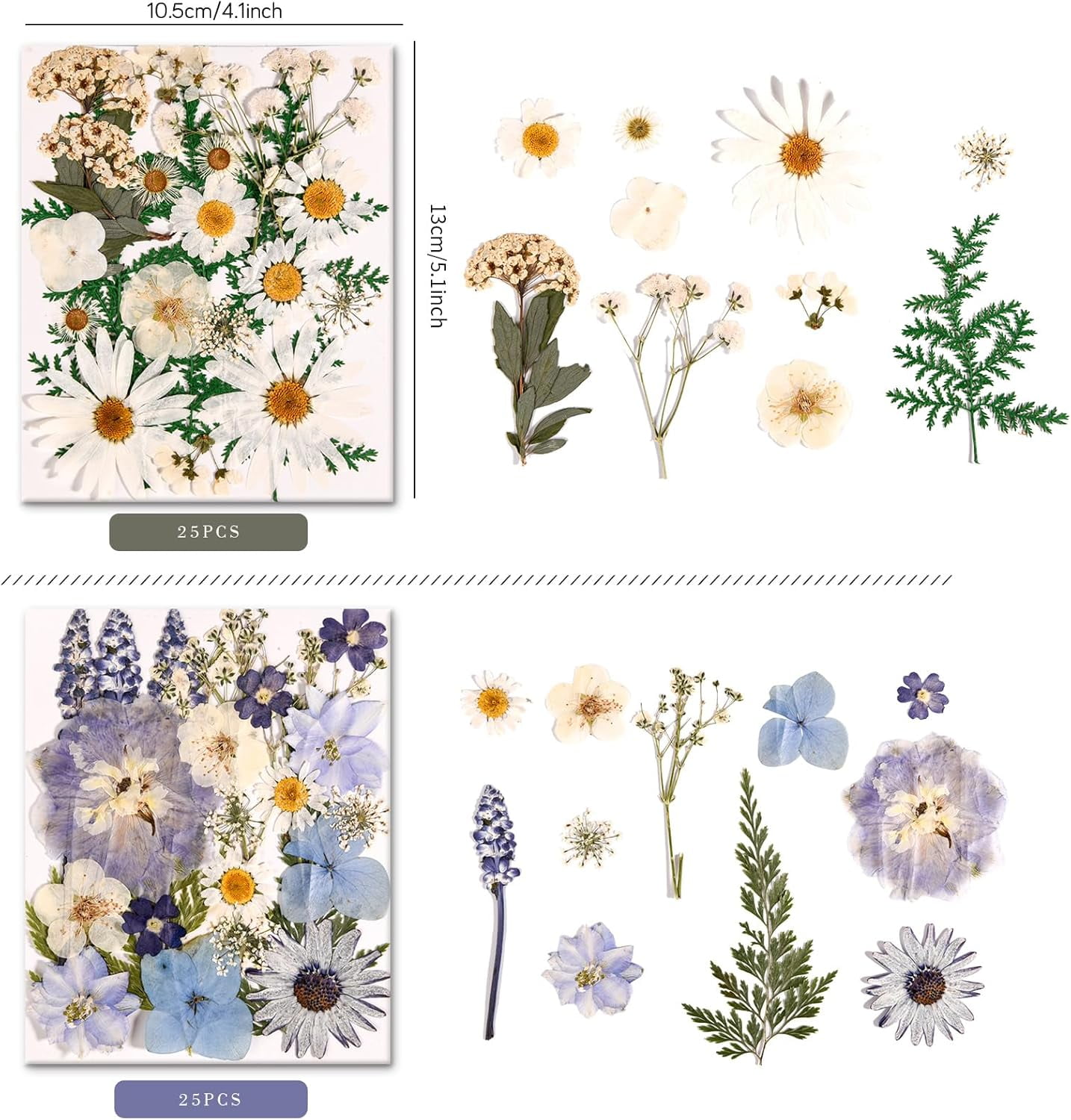 6 Pack 150PCS Real Pressed Dried Flowers Dry Leaves Craft Kit - Natural Dried Flowers for DIY Crafts, Resin Jewelry, Cards, Soap, CandleMaking, Nail Art, and Scrapbooking (Colorful)