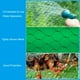 thumbnail image 5 of Red de aves, red de malla de jardín de 13x39 pies para protección de plantas, árboles frutales y ciervos, negra, paquete de 6, 5 of 6
