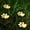 Warm, variant on Paw Print Solar Lights, 4pcs Solar Dog Paw Light for Garden Decorations, IP65 Waterproof Solar Powered Yard Cat Puppy Lights for Lawn Pet Cemetery Pathway Patio Pet Lovers (Warm)
