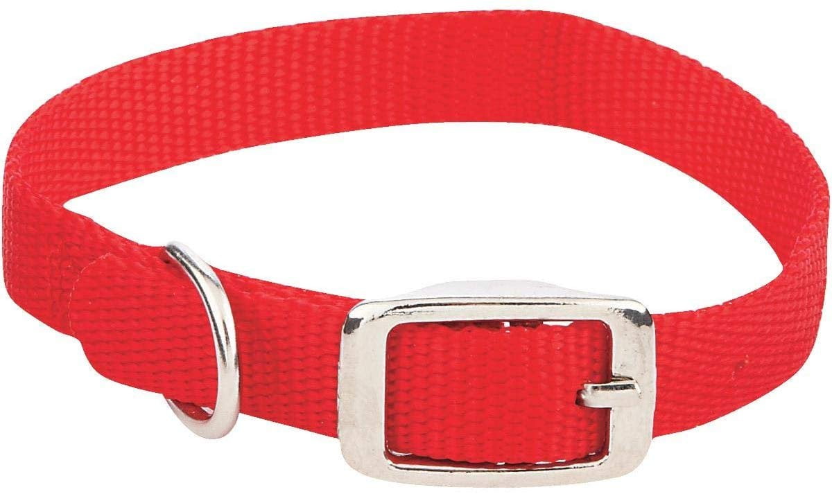 Doggo Everyday Nylon Halsband – Reflektierend, Größe Small (10-14 Zoll), Rot – Mit Stabiler Schnalle, 5/8 Zoll Breit