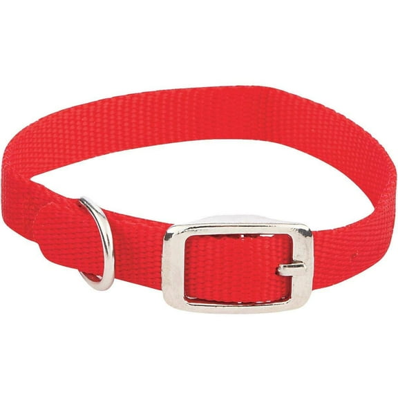 American Leather Westminster Pet 31414 Nylon Pet Collar