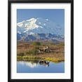 thumbnail image 2 of Art.com Mt. Mckinley, Denali National Park, Alaska, USA Photographic Print by Hugh Rose, Black Frame Wall Art, 17" x 21", 2 of 5