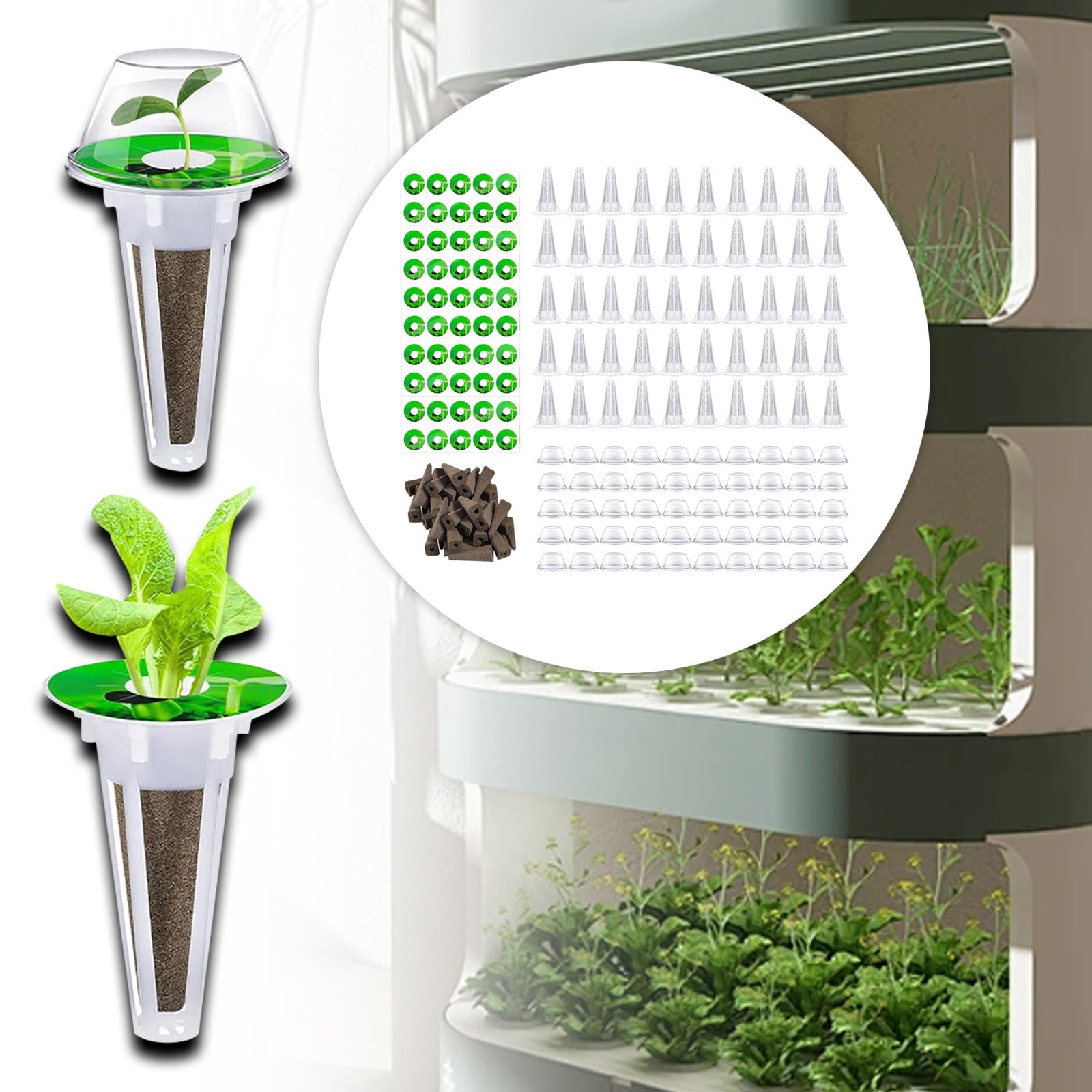 figatia Hydroponics Planting Set Garden DIY Accessories Easy to Use Hydroponics Supplies for Fruits Hydroponics Growing System Cilantro 50 Piece