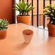 thumbnail image 4 of 20 mini macetas de terracota con orificios de drenaje para suculentas y cactus., 4 of 8