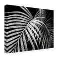 thumbnail image 4 of Trademark Fine Art 'Palm Fronds' Canvas Art by Debra Van Swearingen, 4 of 4