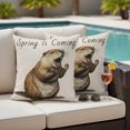 thumbnail image 4 of Happy Groundhog Day Outdoor Waterproof Pillow Covers, Spring Seasonal Holiday Brown Animal Decorative Square Throw Pillowcase Sofa Cushion Sham for Patio/Couch/Chair, 24"x24" 2 Pack, 4 of 8
