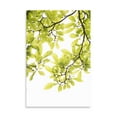 thumbnail image 2 of Gango Home Decor Contemporary Sunlit Tropical Silhouette II by Karyn Millet (Printed on Paper); One 24x36in Fine Art Paper Giclee Print, 2 of 4