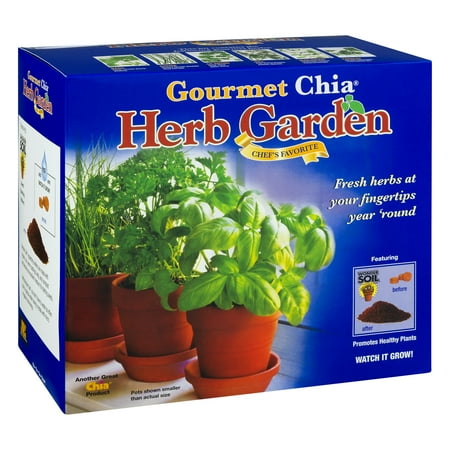Chia Pet Growing Instructions