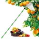 thumbnail image 2 of Fruit Picking Tools, Metal Cherry Picking Tools, Fruit Picking Basket Heads, Garden Hardware Tools, 2 of 5