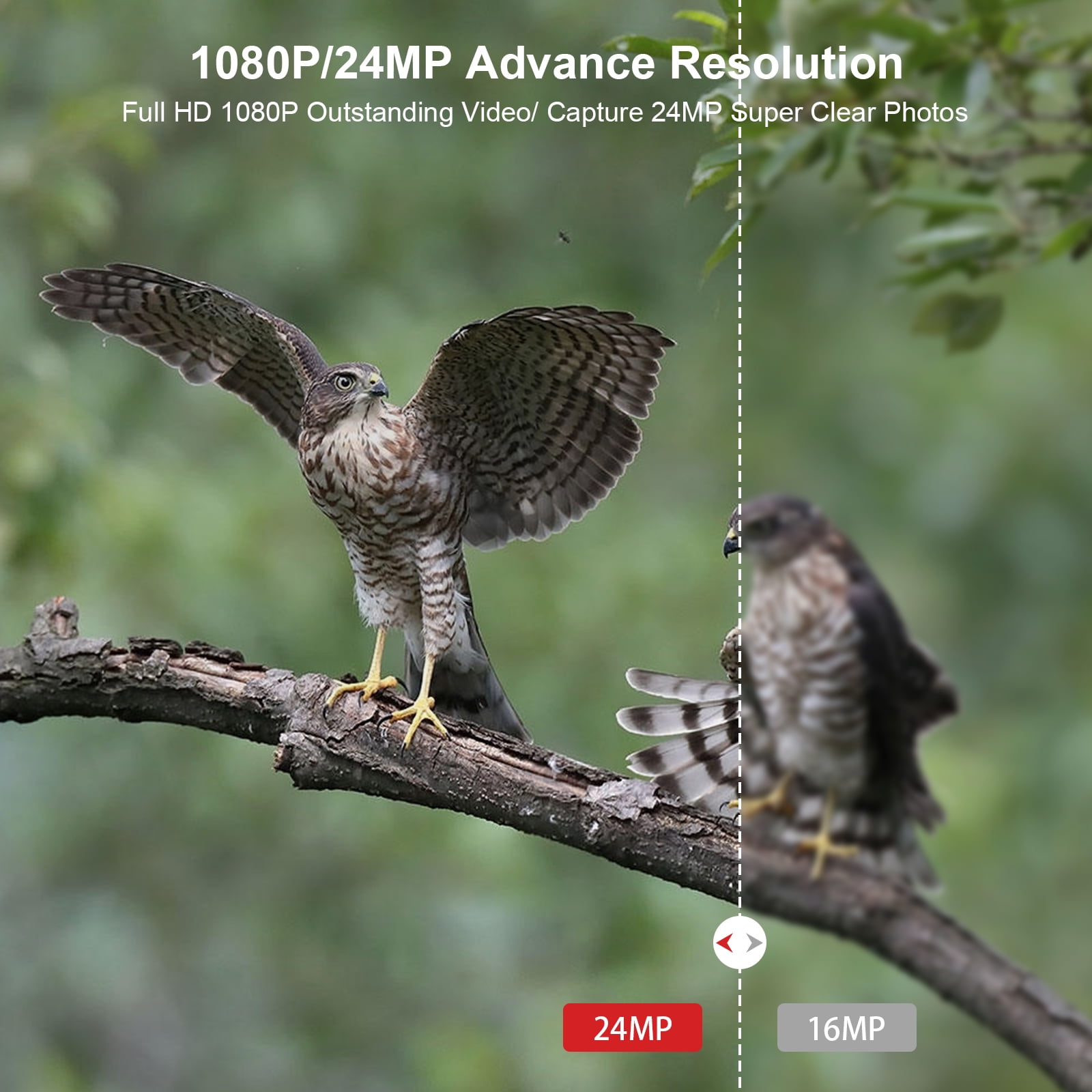 VANBAR 1080P 20MP Trail Camera with Night Vision,Super Fast 0.2s Deer Game Camera for Wildlife Hunting Monitor,with 32GB Card and Baterries