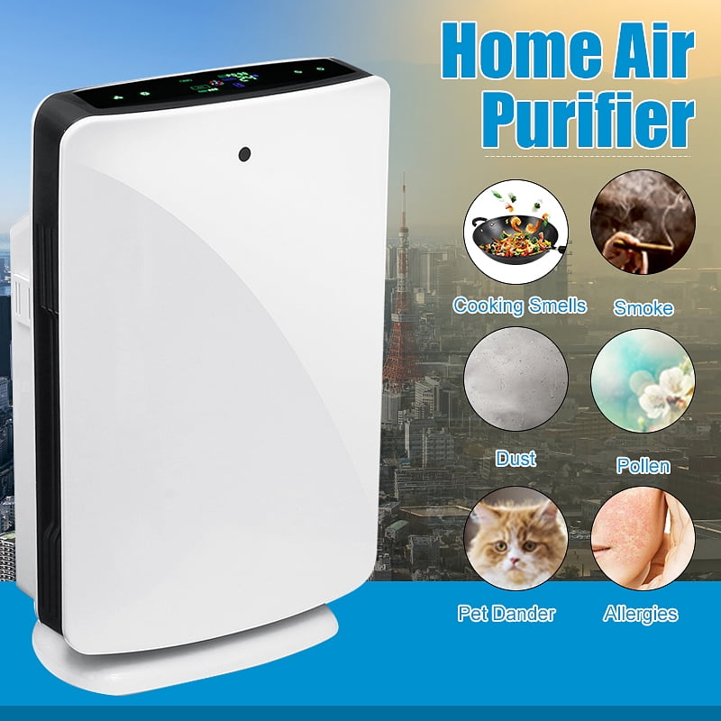 air filter for dog allergies