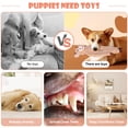 thumbnail image 4 of Juguetes para perros grandes BUYPOW, sin relleno, 5 unidades, 4 of 8