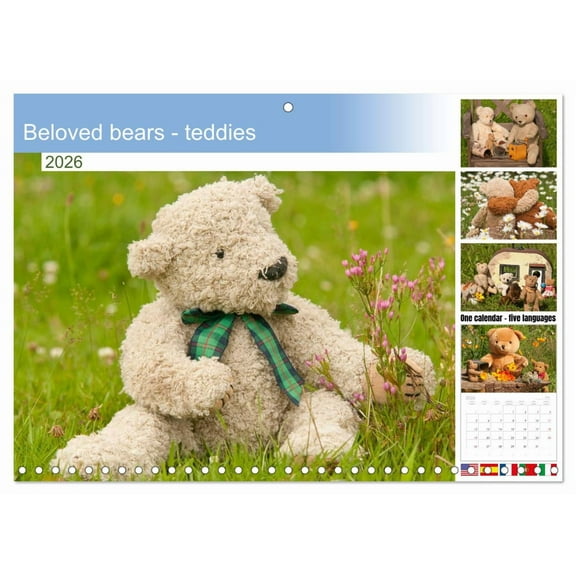 Beloved bears - teddies (Monthly Wall Calendar 2026 11.7 x 16.5 (open)), CALVENDO 14 Month Calendar