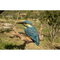thumbnail image 5 of Hi-Line Gifts 5.75" Hanging Kingfisher on a Branch Outdoor Garden Statue, 5 of 7