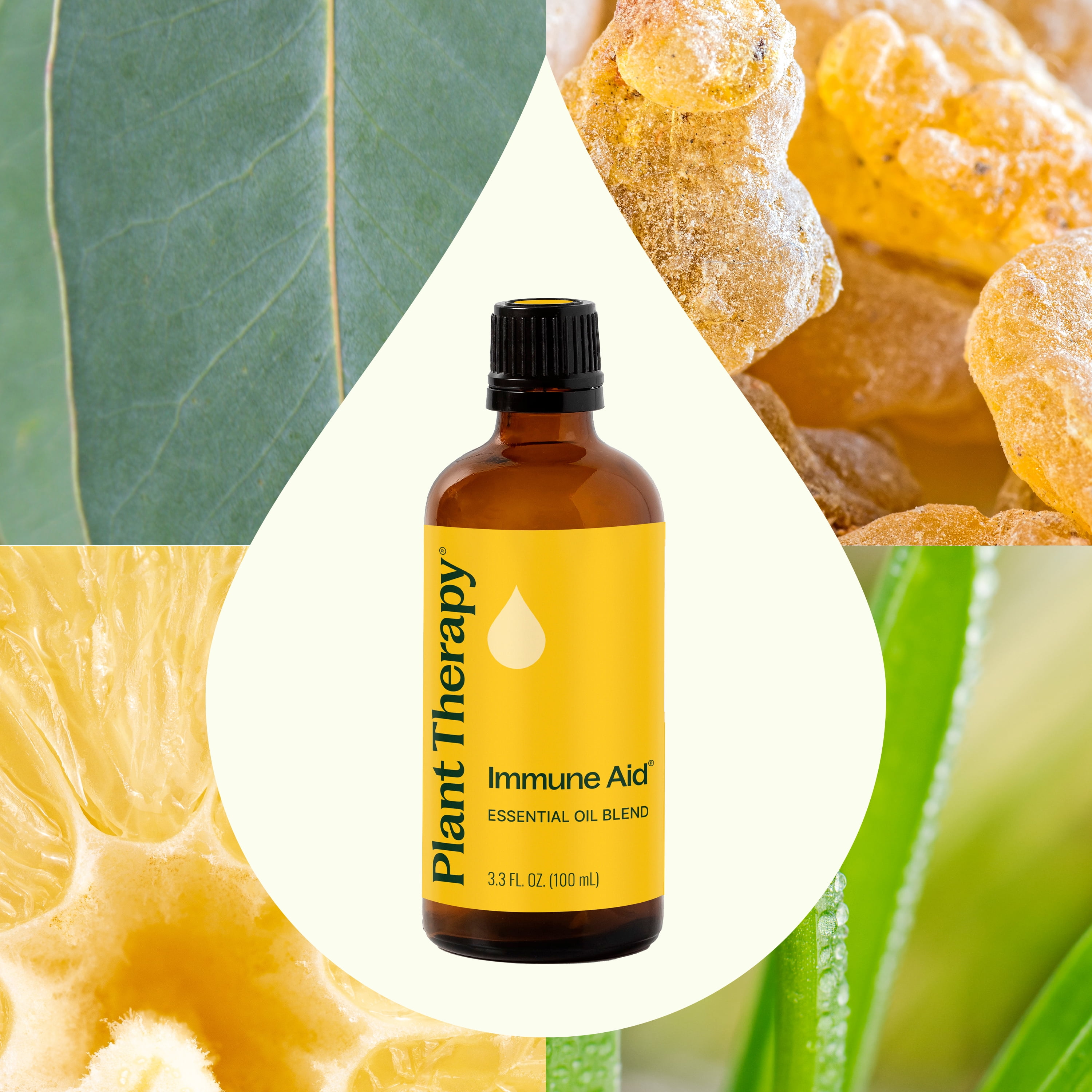 Plant Therapy Immune Aid Essential Oil Blend 100 mL (3.3 oz) 100% Pure, Undiluted, Natural Aromatherapy