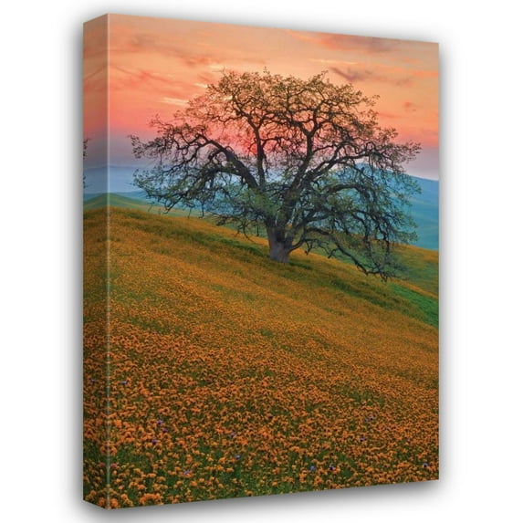 Mark Geistweite 13x18 Gallery Wrapped Canvas Wall Art Titled - Rancheria