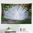 thumbnail image 1 of Peacock Tapestry, Portrait of Male Bird Feathers Out Picture in Dark Colors Modern Print, Fabric Wall Hanging Decor for Bedroom Living Room Dorm, 2 Sizes, Mustard Green, by Ambesonne, 1 of 1